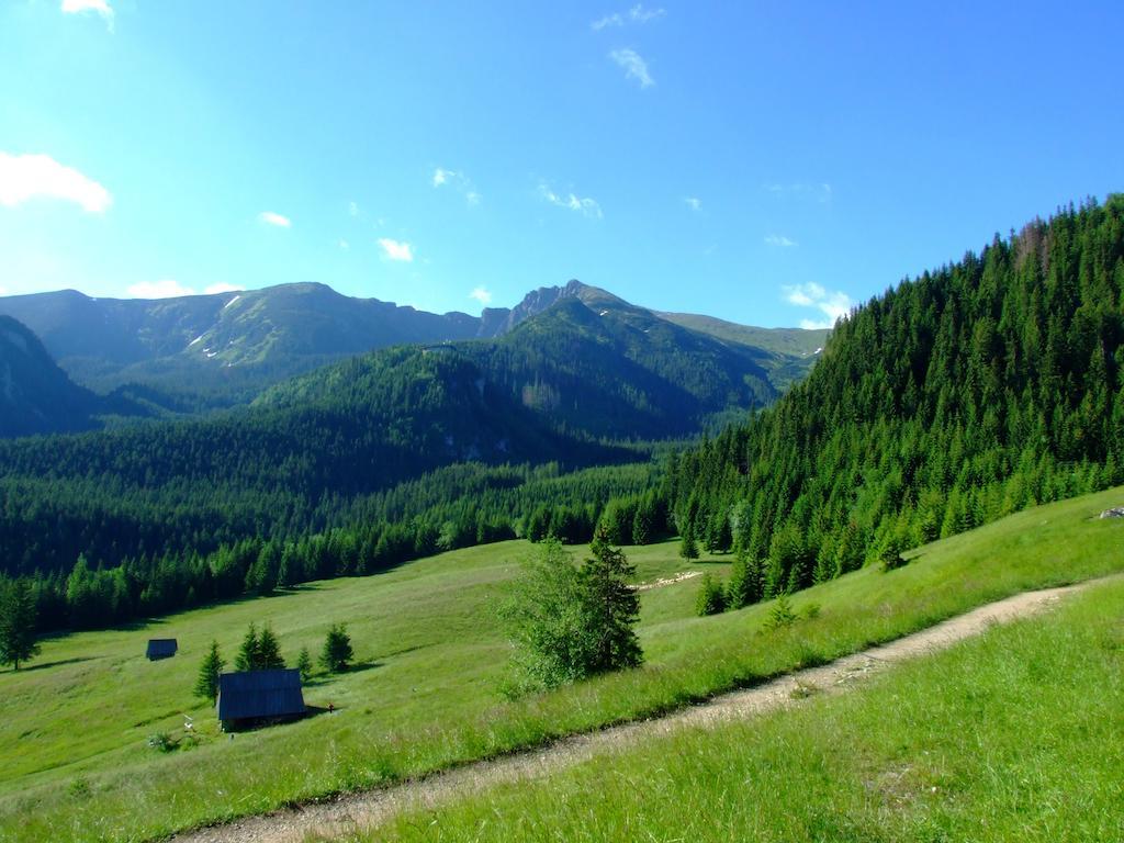 Hotel Gorski Kalatowki Закопане Екстериор снимка